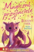Magiczni przyjaciele Burzowy smok