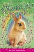 MAGICZNY KRÓLIK WAKACYJNY SEN 