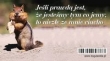 Magnes 13 na lodówkę Jeśli prawdą jest, że jesteśmy