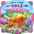 Maluch poznaje małe zwierzęta