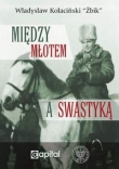 Między młotem a swastyką