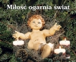 Miłość ogarnia świat. Perełka 168
