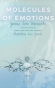 Molecules of Emotions.