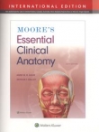 Moore's Essential Clinical Anatomy Sixth edition, International Edition