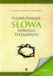 Najważniejsze słowa Nowego Testamentu t.1