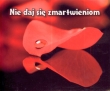 Nie daj się zmartwieniom. Perełka nr 100