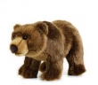 Niedźwiedź Grizzly