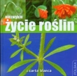 Niezwykłe życie roślin