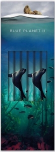 Ołówek ozdobny Sea Lion (6 sztuk)