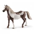 Paint Gelding Koń