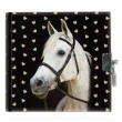 Pamiętnik z kłódką Horse
