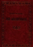 Pan Wołodyjowski