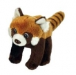 Panda ruda