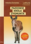 Paziowie króla Zygmunta. Lektura z opracowaniem