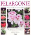 Pelargonie. Poradnik ogrodniczy