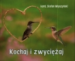 Perełka 235. Kochaj i zwyciężaj