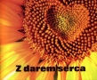 Perełka nr 144. Z darem serca