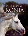 Piękno konia