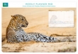 Planer tygodniowy Leopard in sand