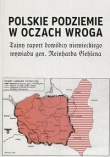 Polskie podziemie w oczach wroga