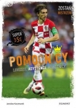 Pomocnicy Liderzy asystenci robotnicy