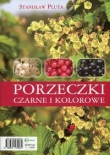 Porzeczki czarne i kolorowe