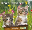 POZNAJEMY ZWIERZĘTA DZIECI ZWIERZĄT LIWONA