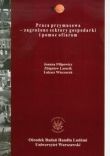 Praca przymusowa Zagrożone sektory gospodarki i pomoc ofiarom