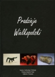 PRADZIEJE WIELKOPOLSKI Od epoki kamienia do średniowiecza