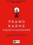 Prawo karne międzynarodowe