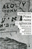 Przez ruiny i zgliszcza