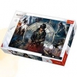 Puzzle 1000 Assassins Creed Świat Asasynów