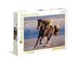 Puzzle 1000 High Quality Collection Free Horse 1000
