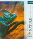 Puzzle 1000 Nature Kameleon