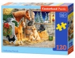 Puzzle 120 el.:Gathering Friends/ B-13340