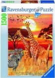 Puzzle 1500 Afrykański zachód słońca