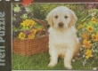 Puzzle 500 Labradorek w ogrodzie
