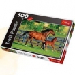Puzzle 500 Pierwszy spacer źrebaka