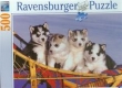Puzzle 500 Szczeniak Husky