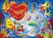 Puzzle 60 Maxi Arielka