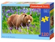 Puzzle Bear On The Meadow 120