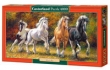 Puzzle Born to Run 4000
