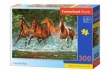 Puzzle Castorland Cascade Run 300