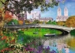 Puzzle Central Park New York 1000