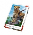 Puzzle Dziki lampart 500
