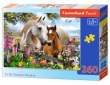 Puzzle In the Summer Meadow 260