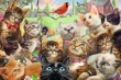 Puzzle Kotki 260