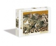 Puzzle Koty 1000