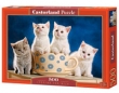 Puzzle Looking for Milk 500