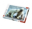Puzzle Misie polarne 500